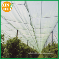 anti hail protection nets for blueberry plantation